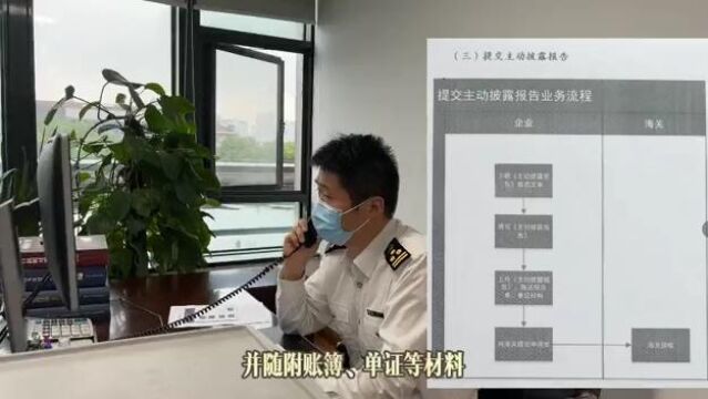 违反海关监管规定可以自我纠错吗