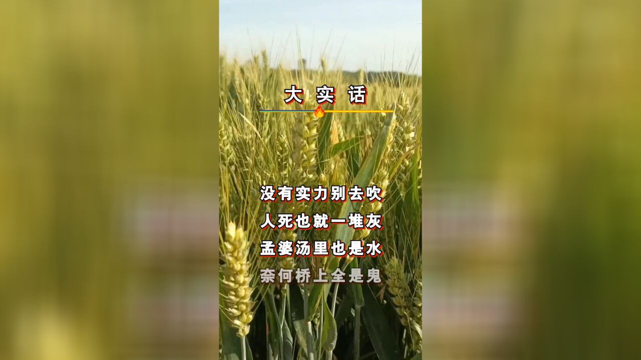 大实话顺口溜