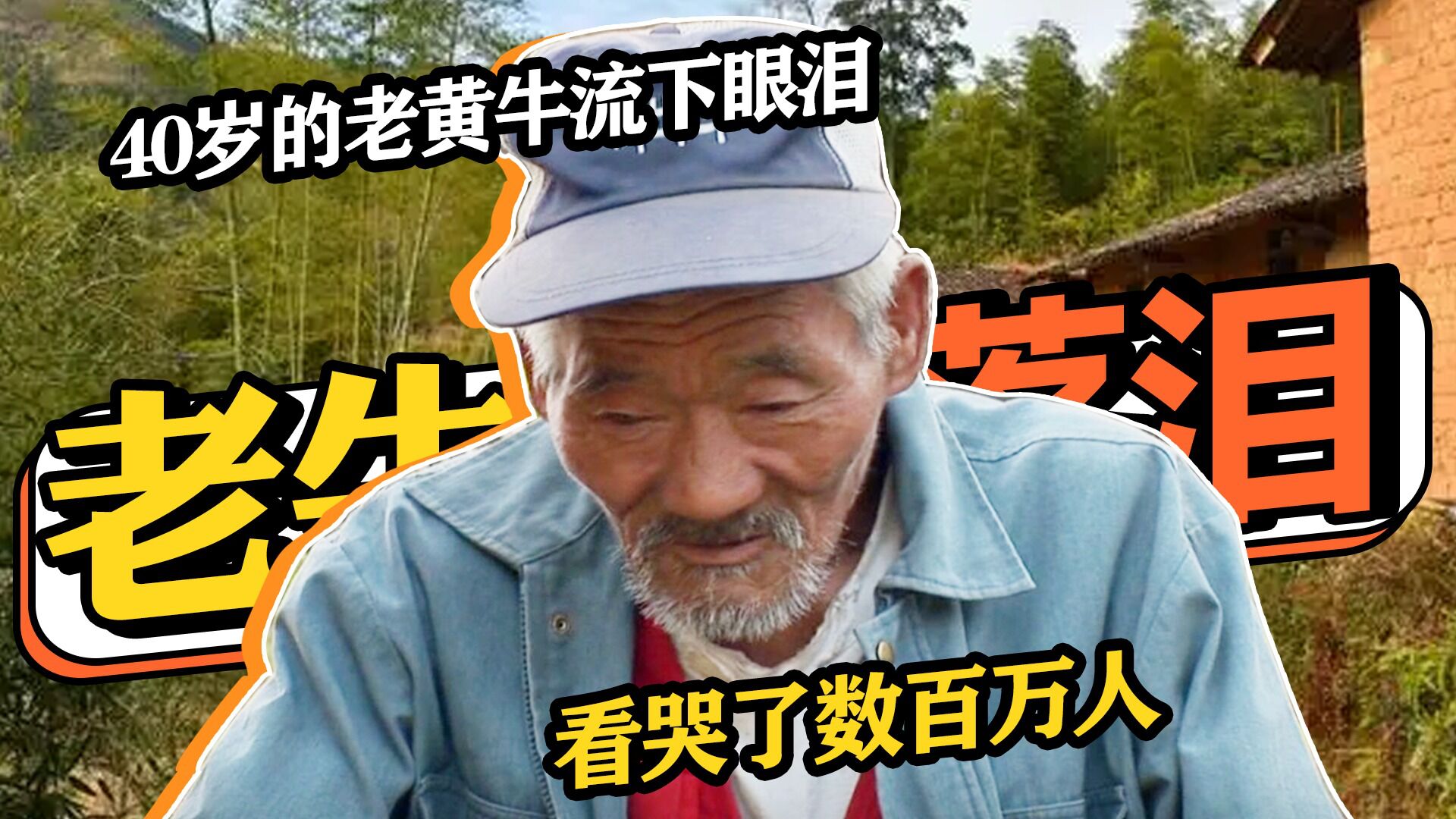 40岁的老黄牛流下了眼泪,它和垂暮老人的故事,看哭了数百万人