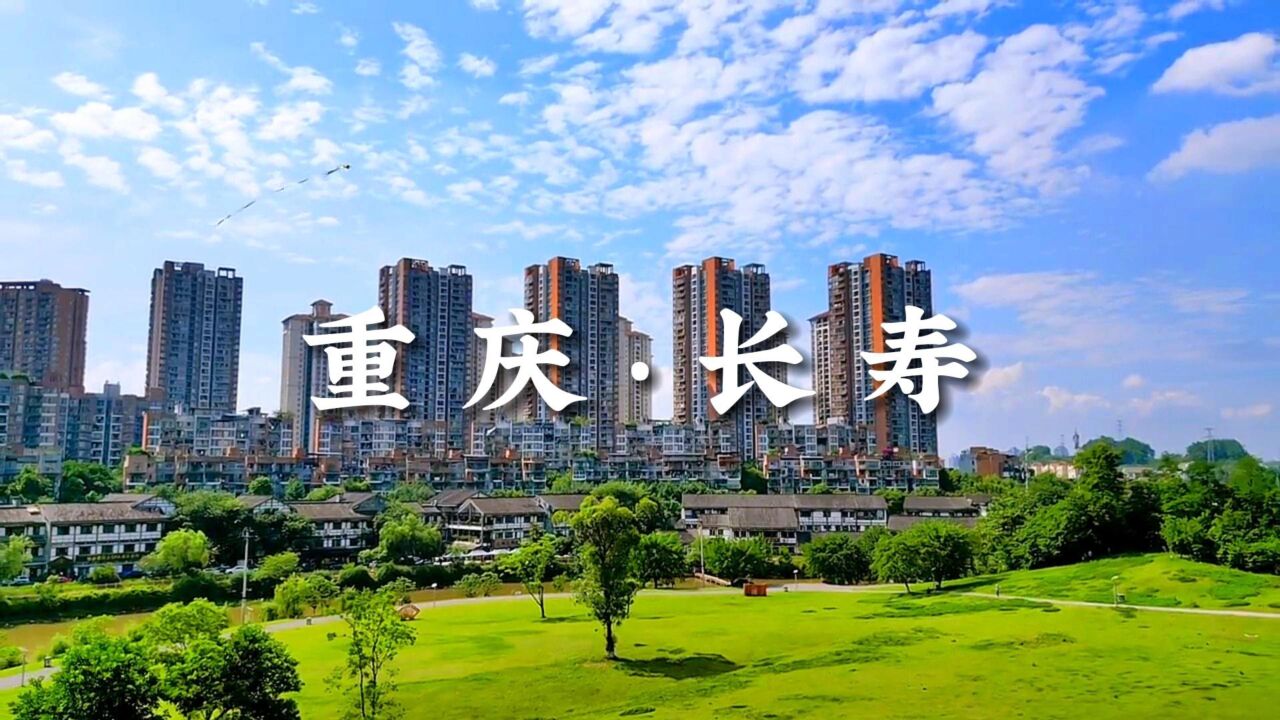 쳤ٺ