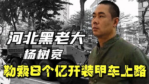 [图]河北最牛黑老大杨树宽，敢和加代硬碰硬，勒索8个亿开装甲车上路