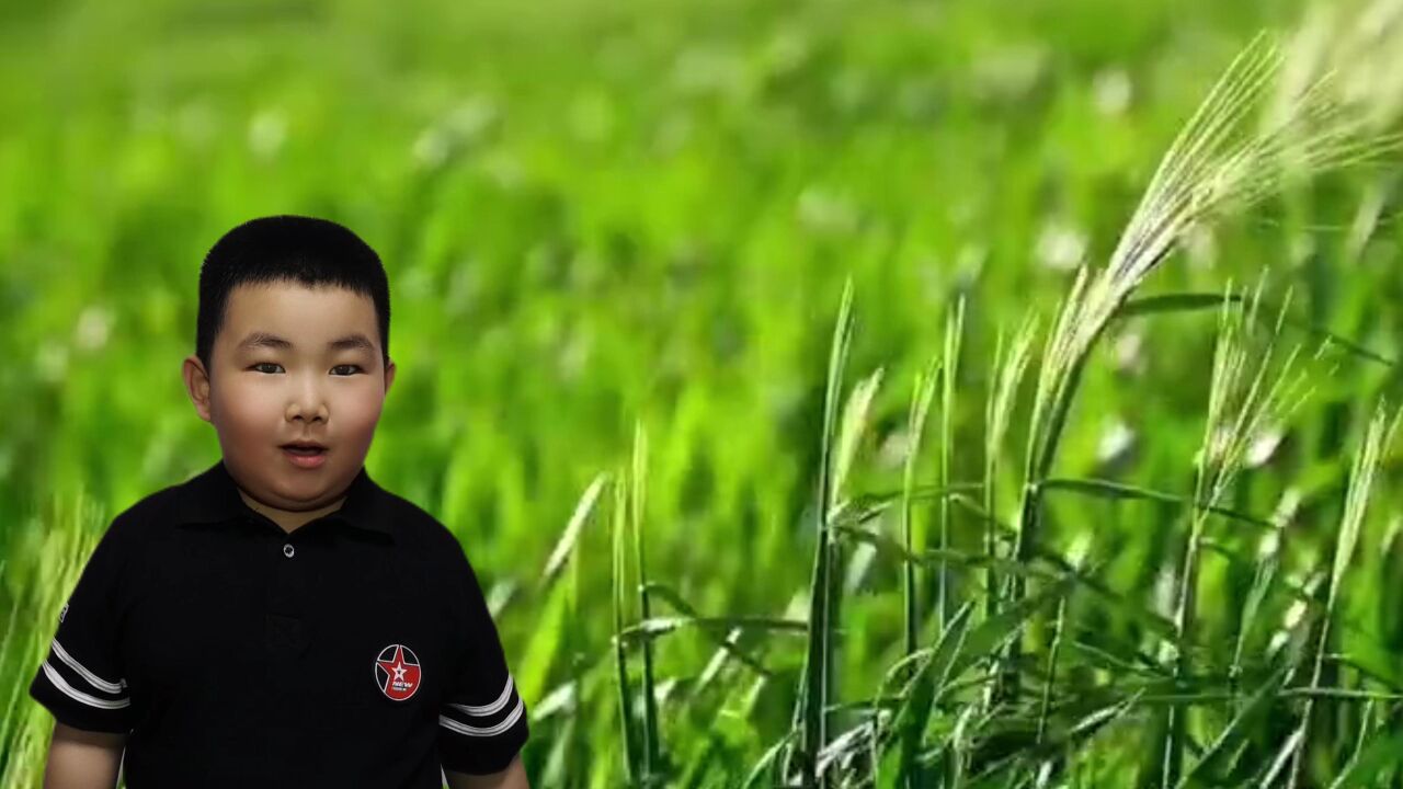 赋得古原草送别 博艺幼儿园 徐梓睿