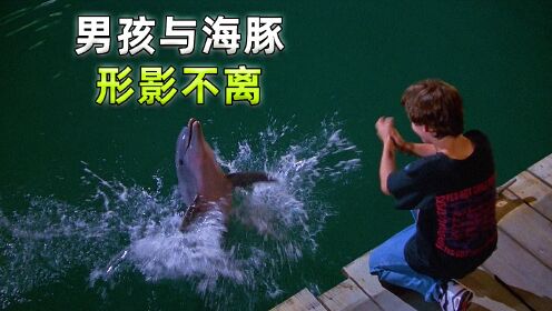 男孩救下一只小海豚，得到海豚守护一世