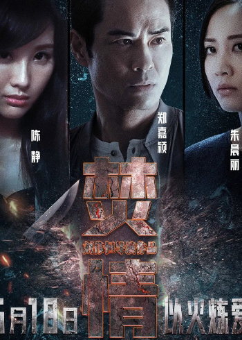 中国香港悬疑惊悚电影《焚情》终极预告海报