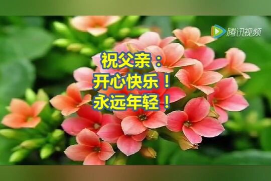 父亲节,一首《祝你健康》送给我牵挂的人!祝你幸福安康!