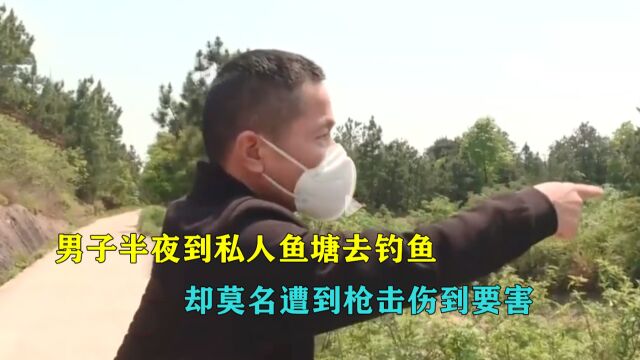 男子晚上偷钓私人鱼塘,遭霰弹枪击中要害,开枪者:我看着像野猪