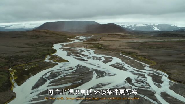 6部豆瓣高分电影(合集)在线观看