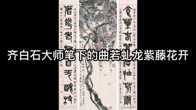 齐白石大师笔下的曲若虬龙紫藤花开