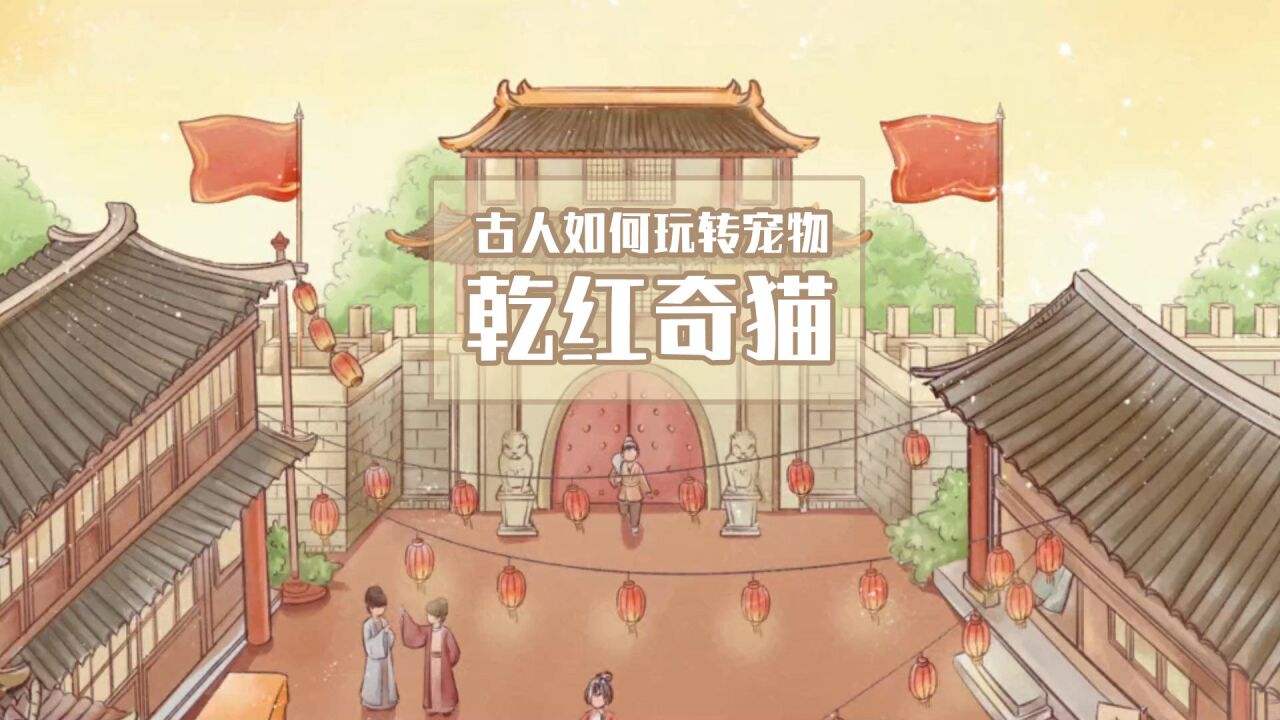 古人如何玩转宠物,宋朝人的养猫轶事,乾红奇猫