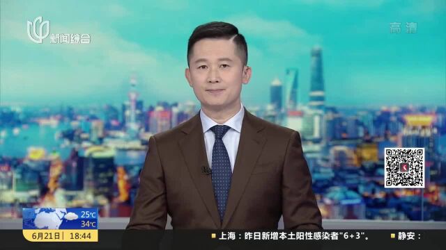 奉贤:深挖资源“云招聘” 多措并举促就业