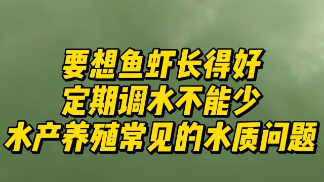 水产养殖常见的4种水质问题,别再踩坑了!