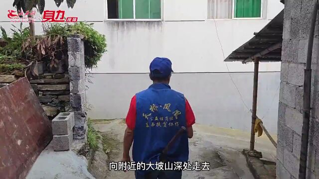 七一特刊|我们的生活充满阳光