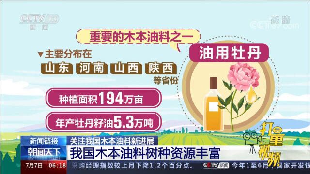 我国木本油料树种资源丰富,种子含油量在40%以上的有150多种