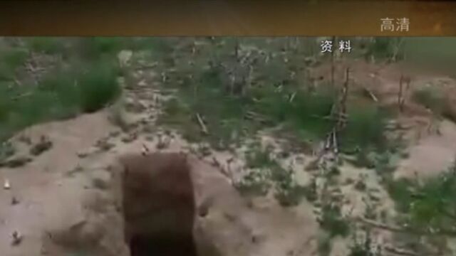 2007年5月,山西省翼城县大河口村,惊现西周神秘墓葬群丨大揭秘