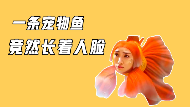 男孩买了一条金鱼,竟发现长着人脸,晚上还跑出来偷东西吃