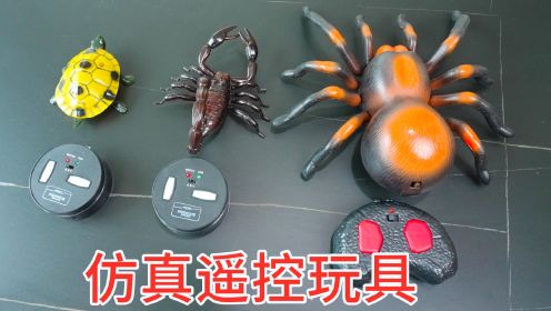 蝎子，大蜘蛛，乌龟，遥控仿真玩具，太逼真了！