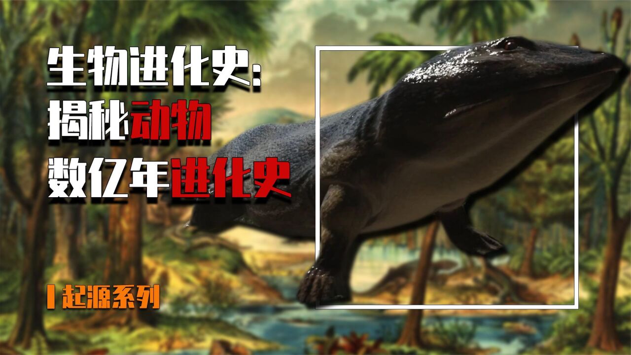 生物进化史：人类从何进化而来？揭秘生物数亿年的进化史_高清