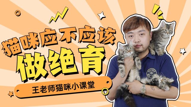 猫咪绝育到底好不好,为什么那么多人选择给猫咪做绝育