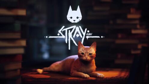 《迷失/Stray》游戏宣传视频