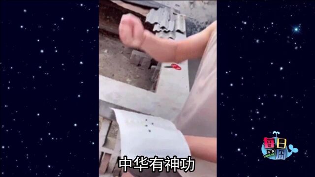 苍蝇贴原来是这么用的?高手在民间