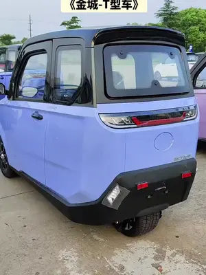 金城-t型车, 引领行业潮流,选择大于努力!