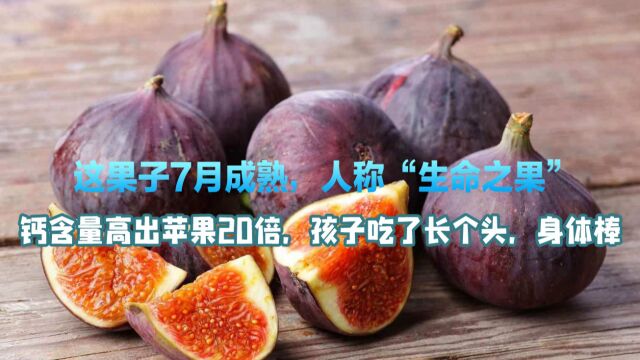 这果子7月成熟,人称“生命之果”,钙含量高出苹果20倍,孩子吃了长个头,身体棒