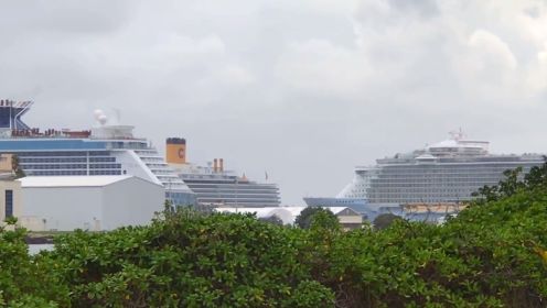 豪华邮轮排队驶出港口，迈阿密港无愧全球第一