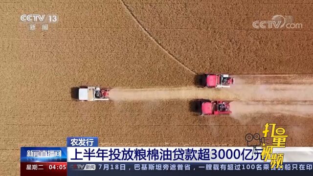 最新数据!农发行上半年投放粮棉油贷款超3000亿元