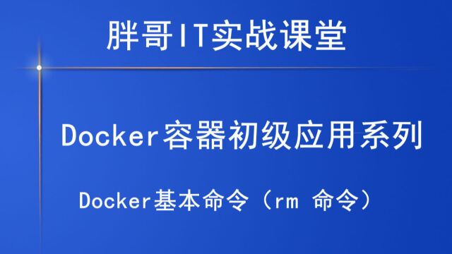 Docker基本命令(rm 命令)上21