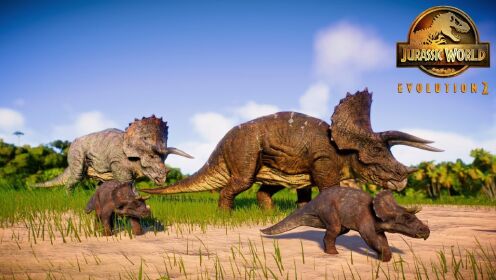 三角龙对战中国角龙和开角龙 侏罗纪世界进化2第22期