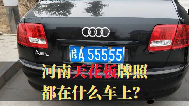 河南省天花板牌照,十副车牌价值2464万,靓号都在什么车上?