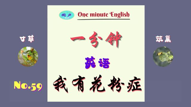 一分钟英语D59 花粉症 | 英语学习 | Learn English | 英语日常会话 | 英语口语