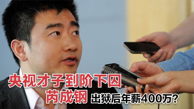 芮成钢:错把平台当本事,想代表亚洲,出狱后年薪400万再引风波