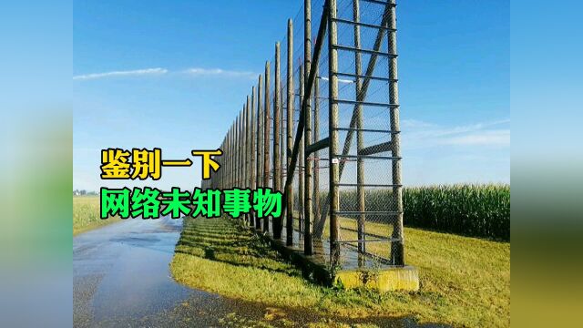 鉴别网络未知事物170:4种你可能见过,但不知道是什么的奇怪物体