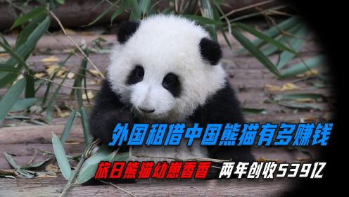 日本为何不愿归还熊猫香香？两年创收539亿，中国熊猫太赚钱了！