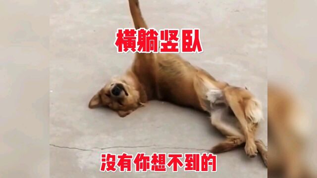 睡觉姿势是没谁了 搞笑配音 搞笑视频