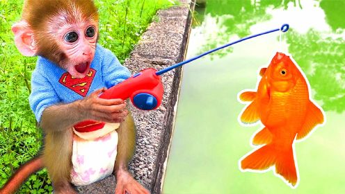 小猴子十分聪明学会了钓鱼！
