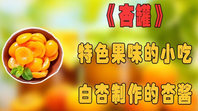 纪录片:特色果味的小吃,白杏制作的杏酱