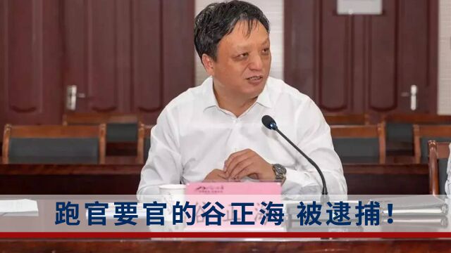 跑官要官的谷正海,被逮捕!曾被推荐为“全国优秀县委书记”人选