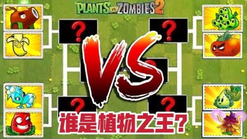 植物大战僵尸：植物擂台挑战赛，火力全开，你能猜中谁是冠军吗？
