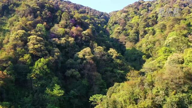 千城胜景|如诗如画 仙境大围山