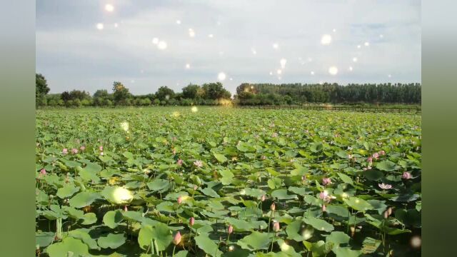 打卡美丽乡村——晋源区赵家山村