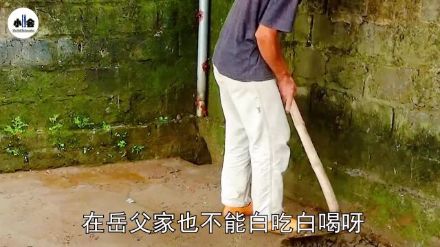 不一样的的水族馆