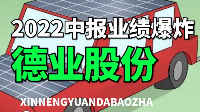 2022年中报再一次爆了,德业股份,疯狂的储能新贵,下一个阳光电源