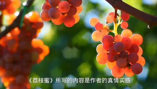 探索蜜蜂文化(荔枝蜜)