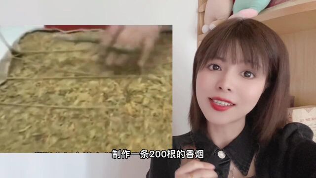 不同价格的香烟到底有什么区别呢?