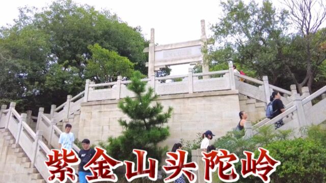  南京城的“绿肺”紫金山,跟着虹姐去爬山(4)山顶公园 