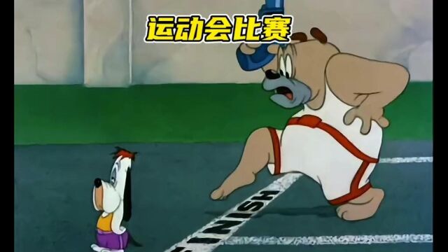 运动 比赛