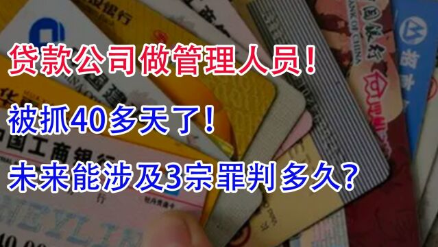 贷款公司做管理人员!被抓40多天了,未来能涉及3宗罪判多久?