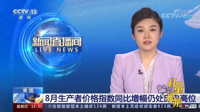 美国:8月生产者价格指数同比攀升8.7%,增幅仍处历史高位